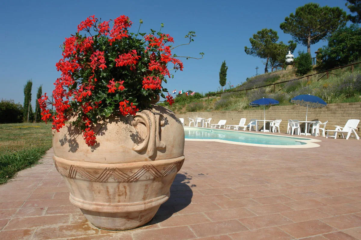 Vaso di gerani rossi a bordo piscina