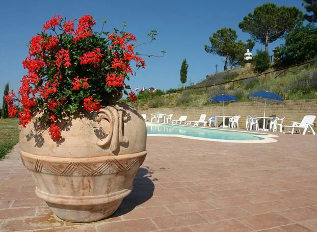 Gerani sulla terrazza accanto alla piscina
