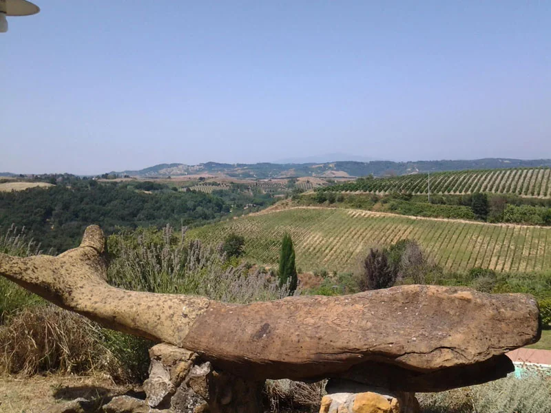 Panorama sui vigneti e sulle colline di Montaione