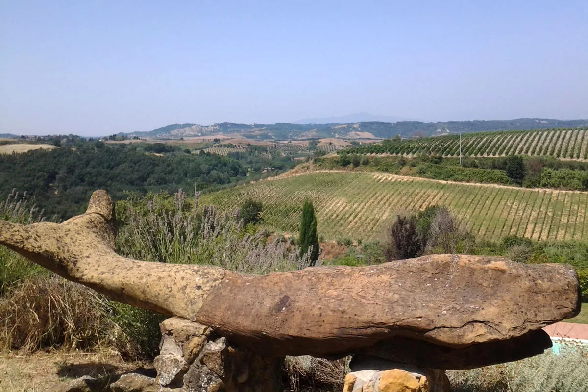 Colline e vigneti visti dalla staccionata